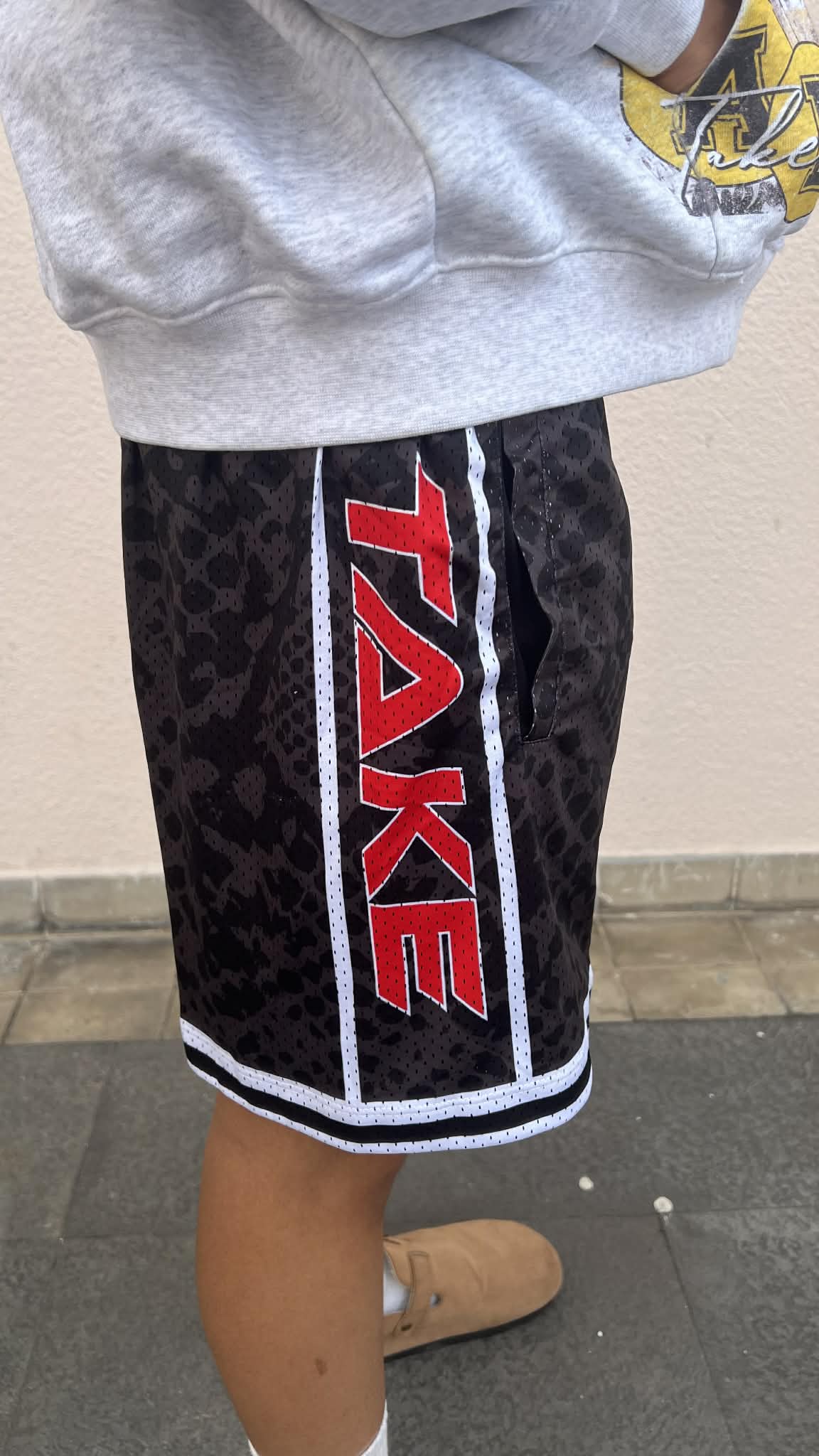 Shadow Crest Mesh Shorts